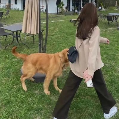 越活越来劲